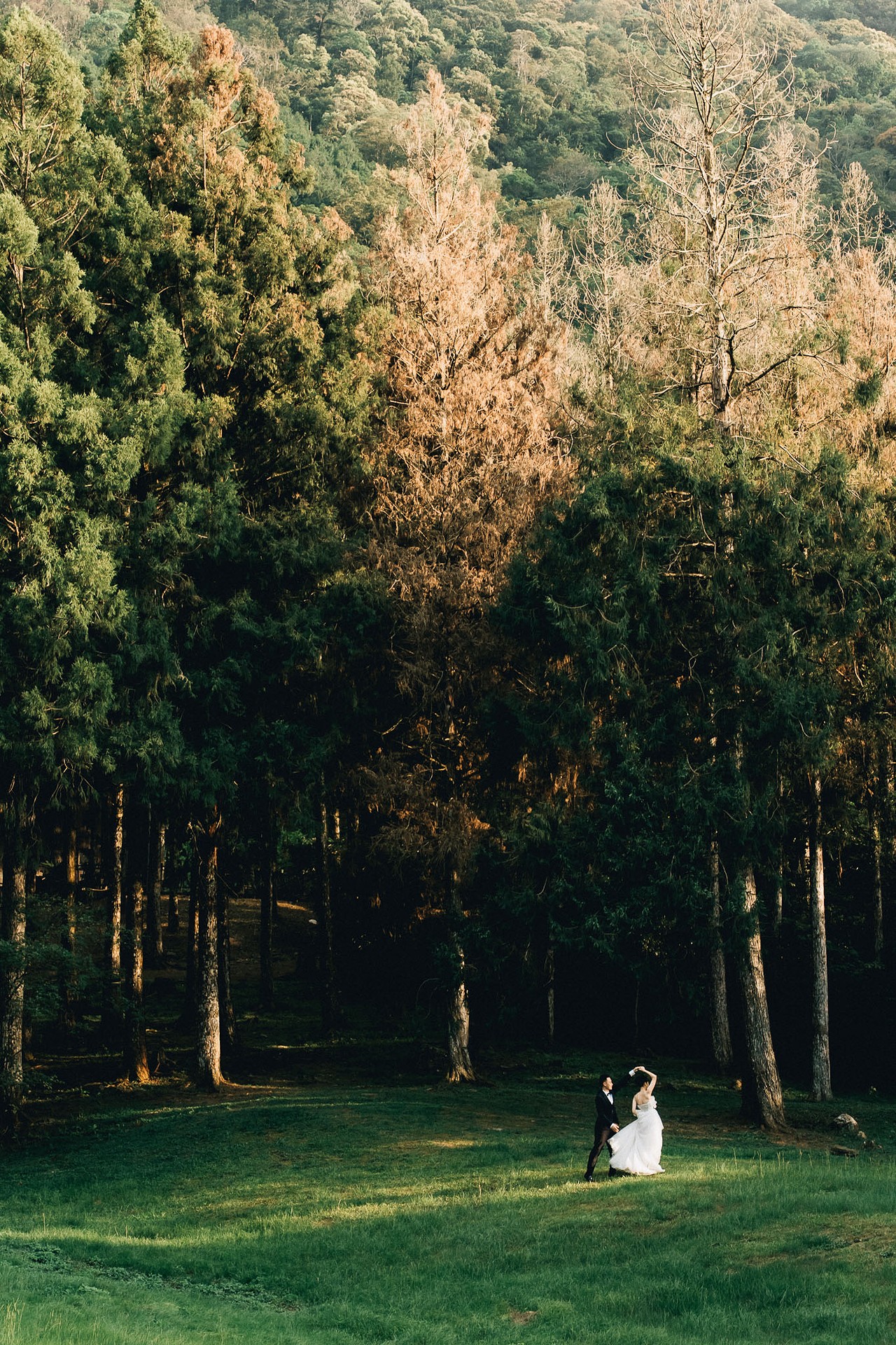 Pre-wedding photo 10